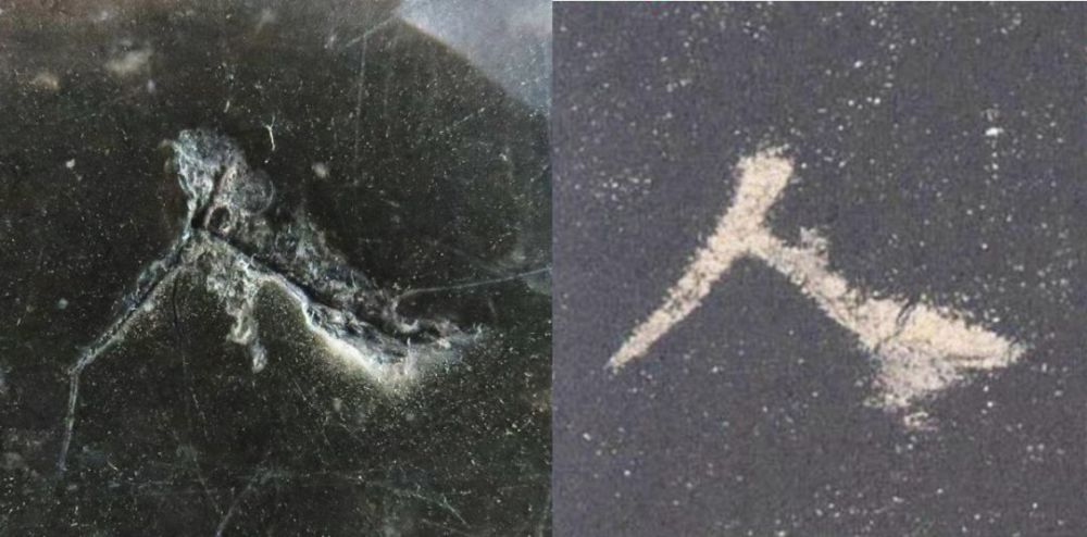 九成宫醴泉铭|震撼！《九成宫》原石与拓本高清对比图