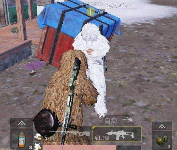 和平精英吉利服科普篇,躺赢吃鸡不是梦!