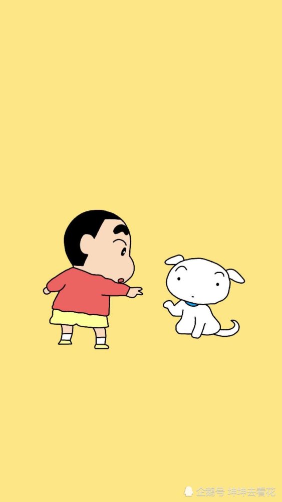 呆萌 新酱 小白 壁纸 我眼里只有你 你的大脸让我看不到别人