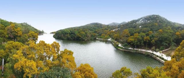 歌手海來阿木將來南澳島現場演唱5月19日黃花山森林公園等你