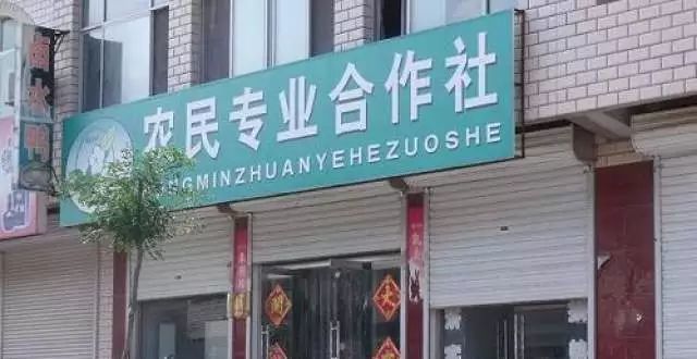 六大步骤,轻轻松松注册农村专业合作社