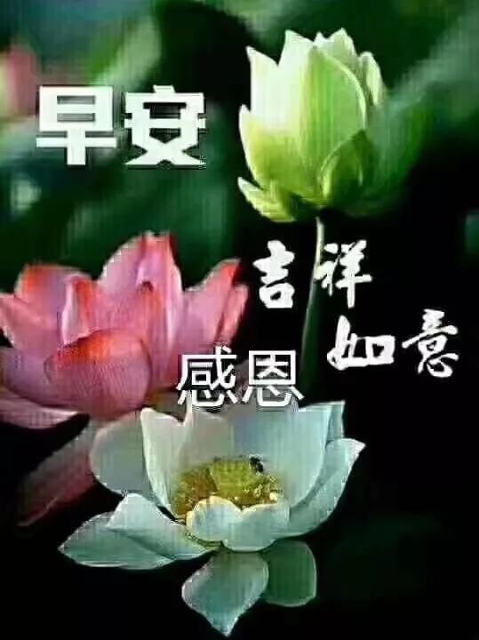 微信清晨問候朋友的早上好暖心祝福,早上好動態表情問候祝福語