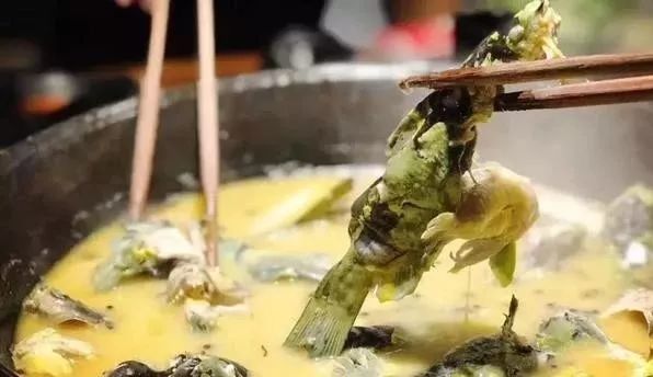 刷屏抖音的火鱼到底是个什么鬼?