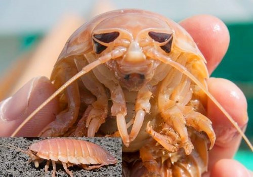 漳州龙海市叛逆青少年教育学校真的有吗