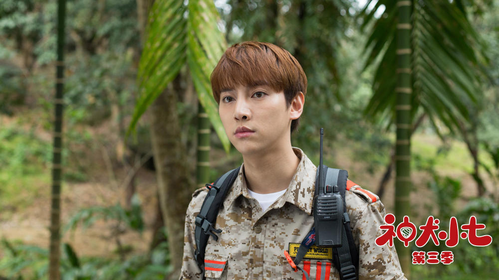 《神犬小七3》小七发挥治愈本能 姜潮宋妍霏带队刻苦训练