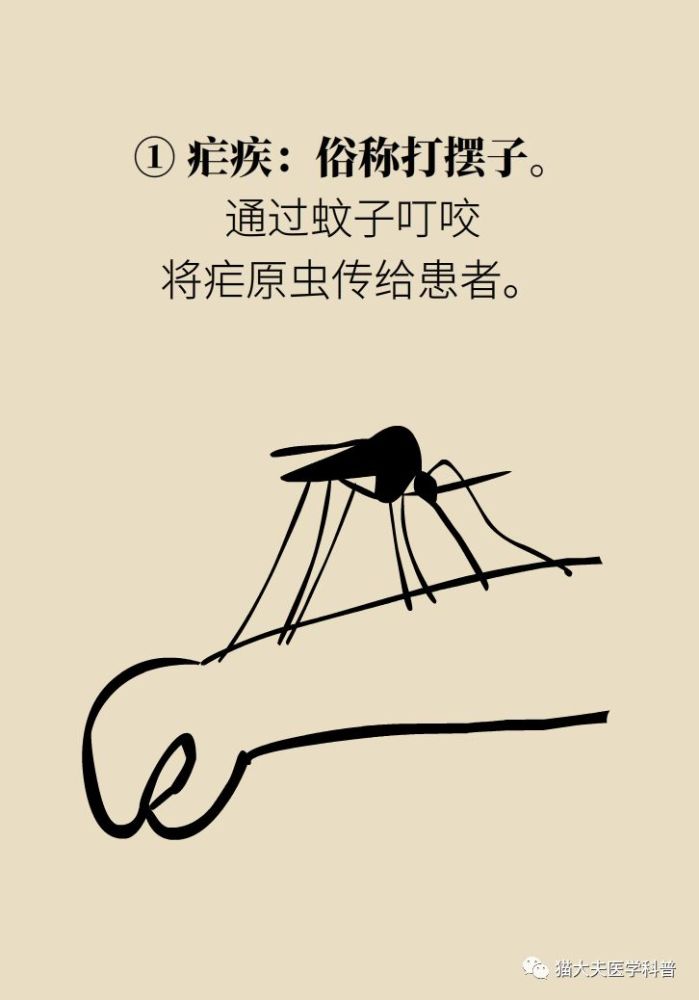 蚊子传播致命疾病,3招教你预防