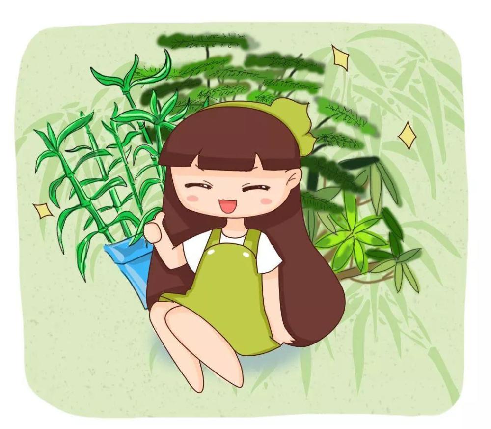 这15种 吉祥花 寓意满满 养一盆日子越过越顺心