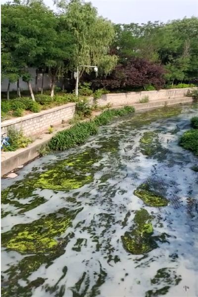 随后,记者赶到现场看到,正如市民反映的那样,张店区东四路涝淄河桥