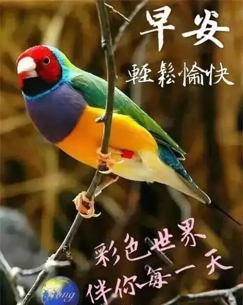 最好看的早上好祝福语表情图片 朋友群发的早上好唯美图片带字