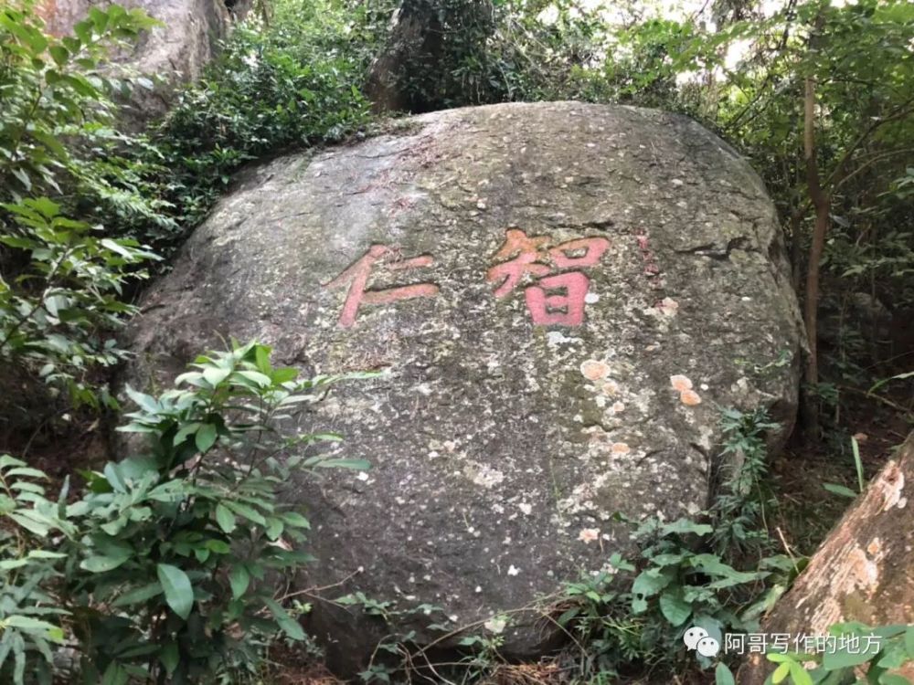 庄山遇雨