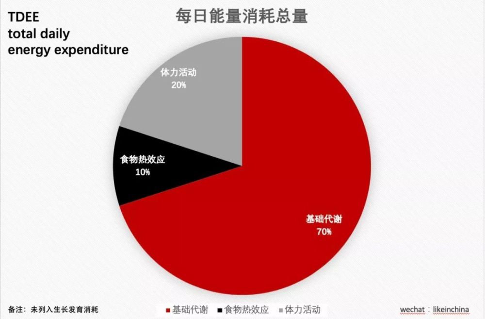 提高健身效率你必须知道tdee每日能量消耗总量