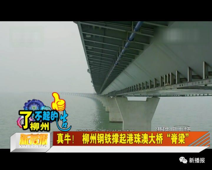 真牛 柳州钢铁撑起港珠澳大桥 脊梁