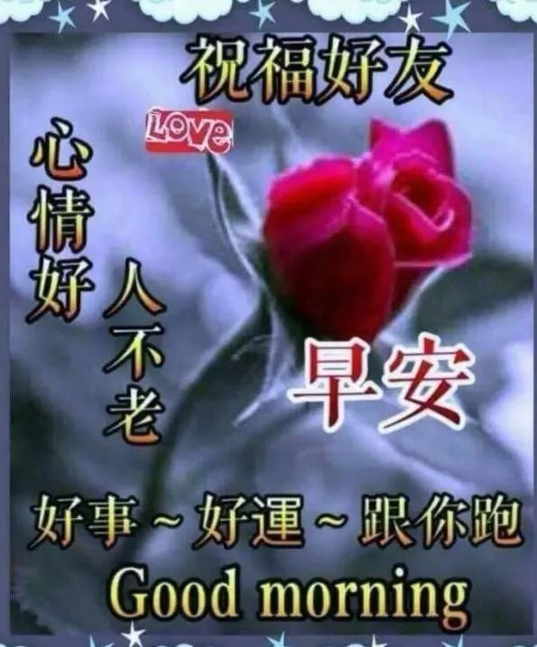 送朋友的清晨早安阳光问候语祝福 漂亮的清晨早安动图