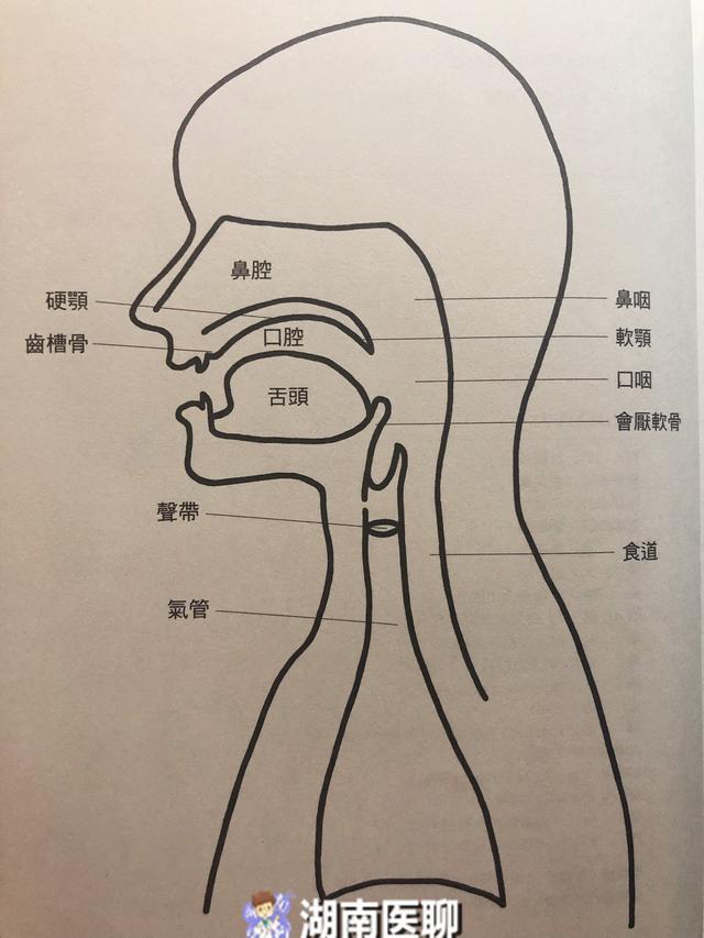 孩子发音不清要矫正 别急着字正腔圆 语言发展须先经4个阶段