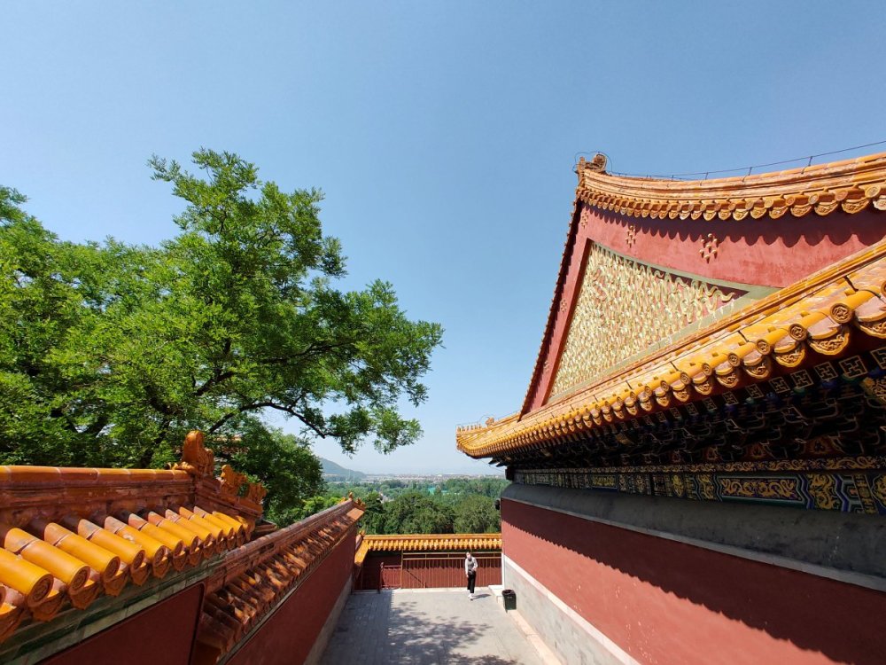 Oppo Reno 10倍变焦版智能手机 Pccm00 拍摄体验报告 Soomal