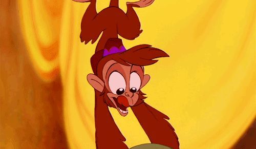 生物大揭秘vol19阿拉丁孤儿男主怎么弄来的南美猴子