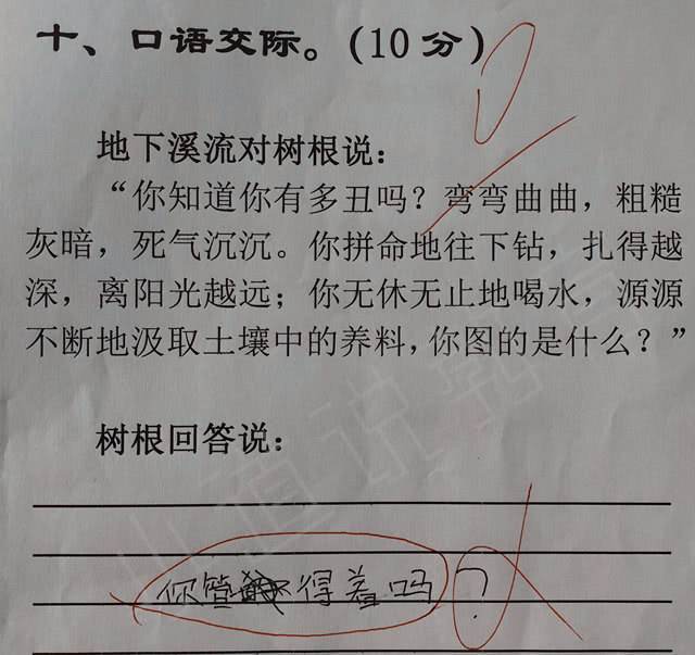小学生写的奇葩作业爸妈看了头疼老师甚是无奈