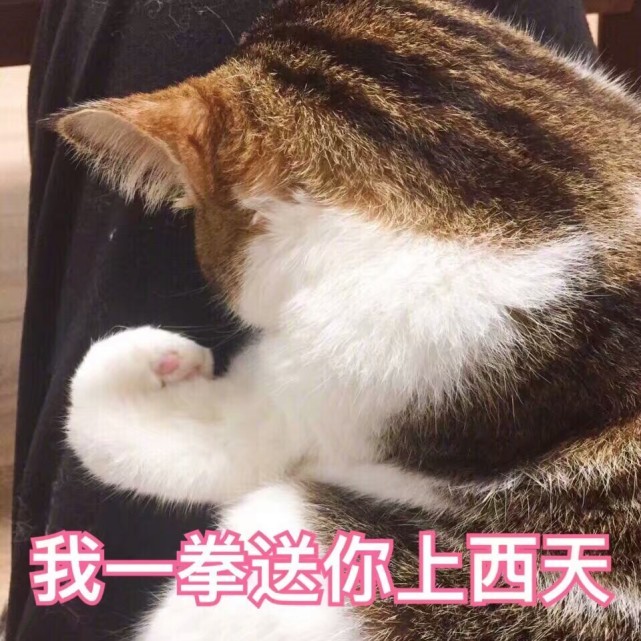 送你上西天 腾讯网