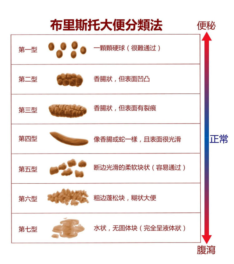 从大便形状看肠道健康 对照这个表