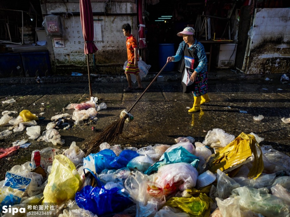 降解|塑料产品不让用了？明年起，全国将禁止使用不可降解塑料袋！