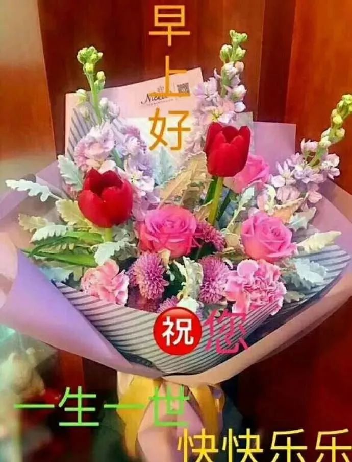 唯美早上好问候语图片带字精选早安祝福问候精选漂亮图片