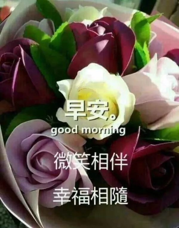 2019最新版早上好短信问候祝福语录大全,早晨好温馨祝福语录图片表情