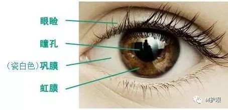 眼白出现这些颜色你可能不健康了