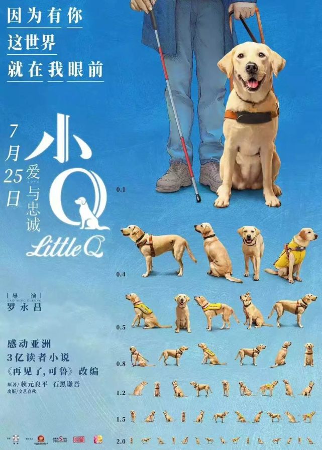 电影 小q 插曲温情公布 看导盲犬如何燃起主人精神世界的花火