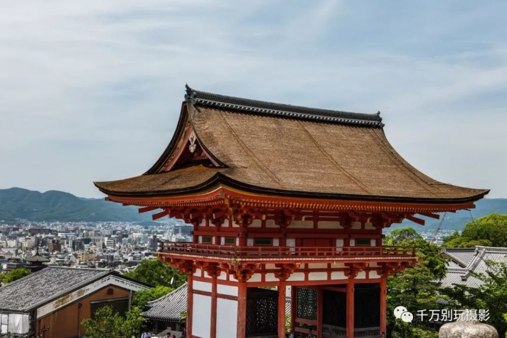 慢京都与奈良鹿