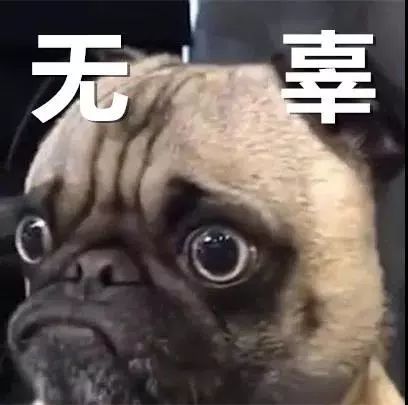 给准高一的一封信 暑假这么过 才更有意义 新睿教育 沈阳新睿教育培训学校024