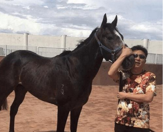 51岁于谦近照,买京城4万平豪宅放马,小10岁的老婆长这样