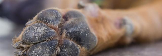 腾讯内容开放平台