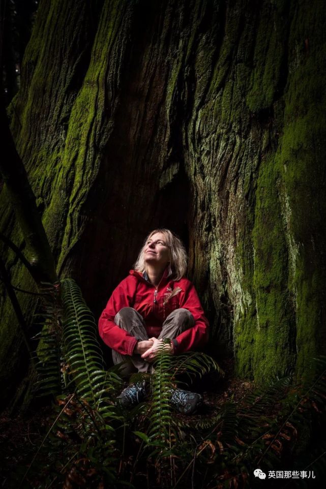 腾讯内容开放平台