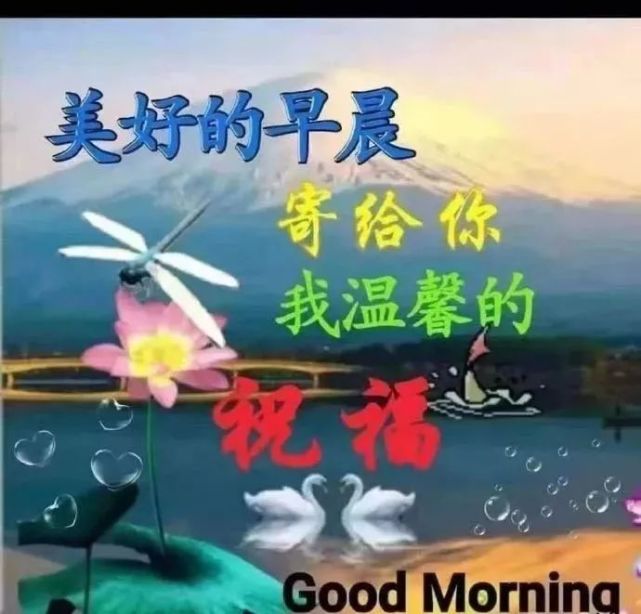 7月6日群发清晨早上好问候祝福动态表情图片早安问候语及暖心的话 来不及 微笑 相识
