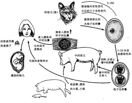 登录查看大图