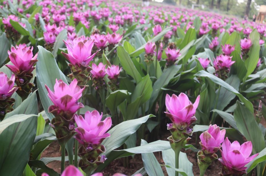 11月22日黄历宜忌,宜:祭祀、沐浴、余事勿取