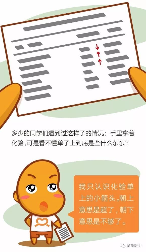 你的肾功能正常吗