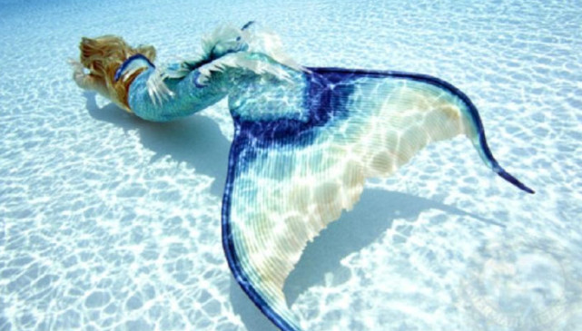 你知道美人鱼的原型是什么动物吗我国就有