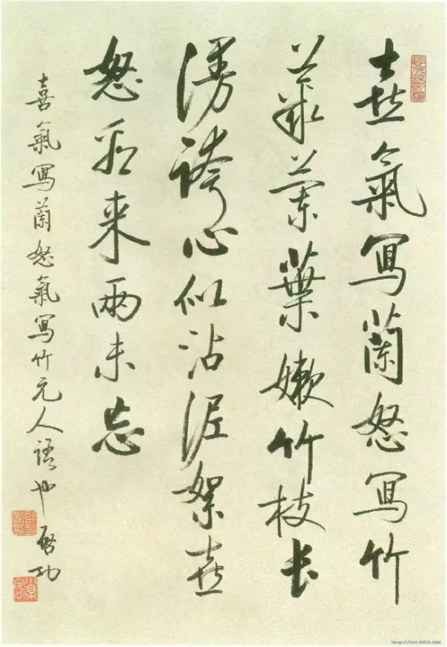 启功|启功画竹，风景独好！