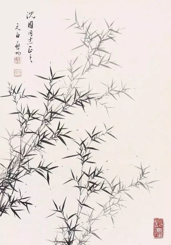 启功|启功画竹，风景独好！