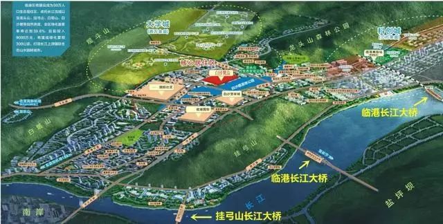 临港长江大桥