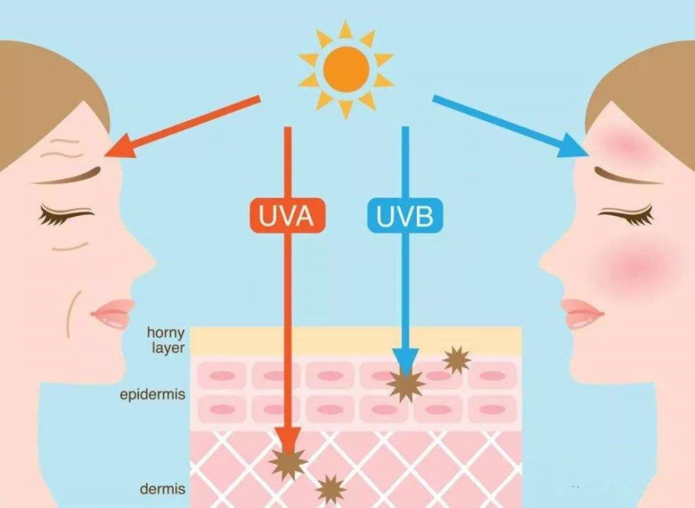 多少人防晒只知道脸上和身体 却忽视了这3个部位 显老拉低颜值