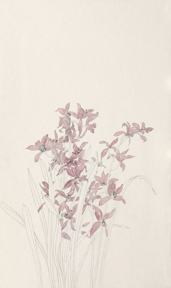 高强:设色没骨花卉系列教程之兰花丨私享艺术