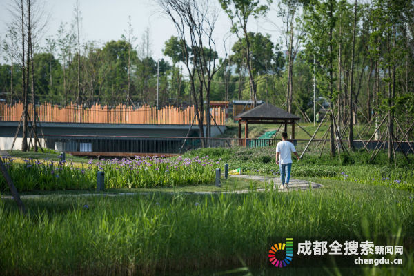 锦城绿道再添新公园中和湿地公园即将亮相