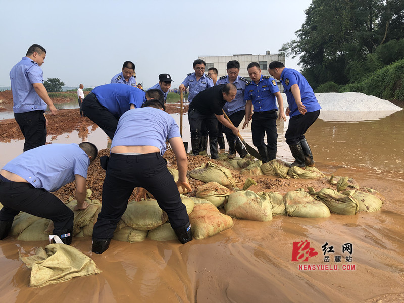 岳麓区:紧急处置4处管涌险情 誓保湘江大堤安全