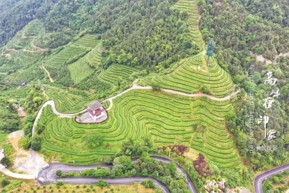 天然氧吧1400 茶园高峰谷6-9月份的平均日气温在22-25℃之间根据气象