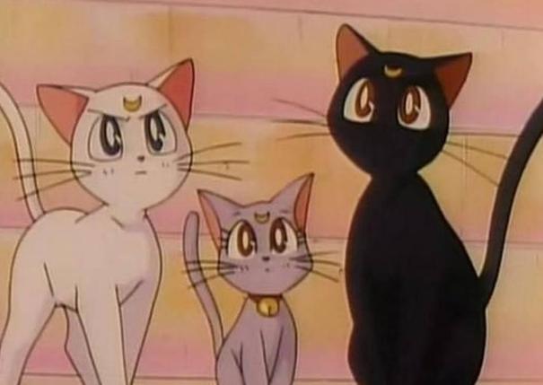 86年出生的她曾经为《玉子市场》的北白川玉子,《斩服少女》的满舰饰