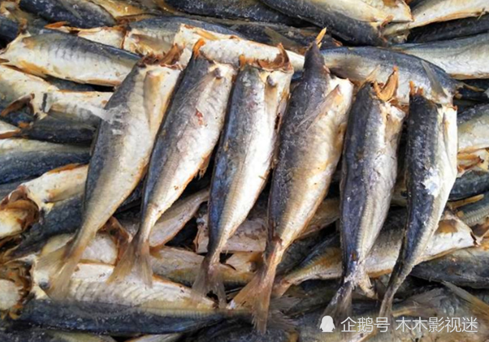 你不可不知的巴浪鱼干,这才是福建人配酒和下饭的美味啊!