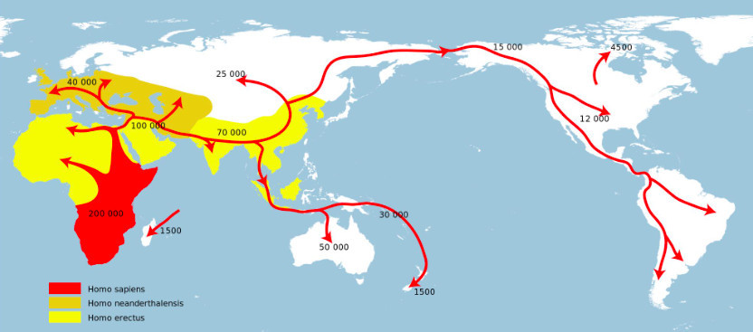 河南发现古人类头骨化石,专家研究得出:现代中国人并非起源非洲