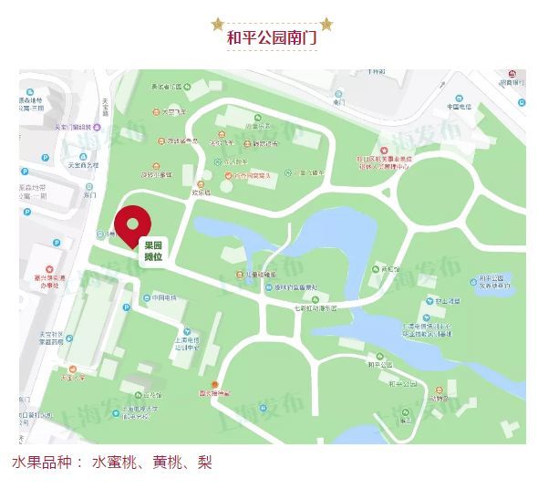 在复兴,淮海,植物园,黄兴,杨浦,金桥,鲁迅,长风,梦清园,塘桥,上南等